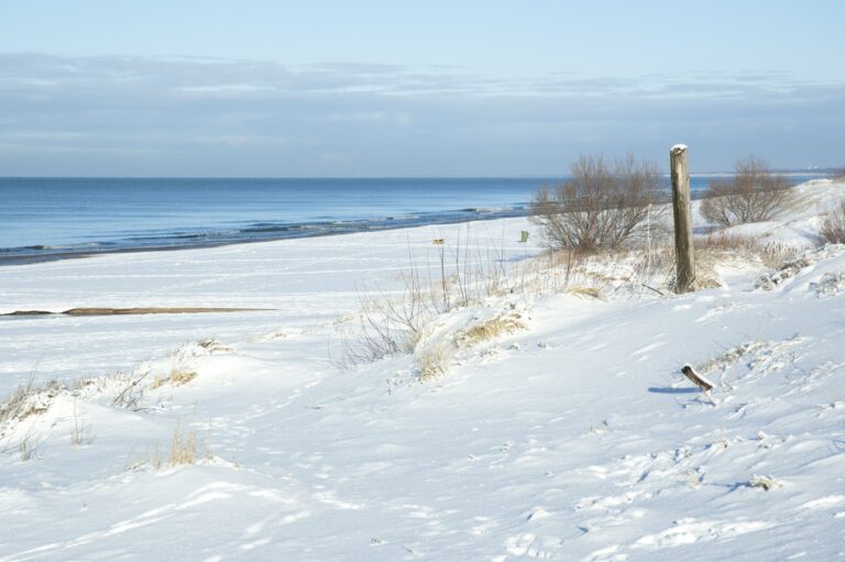 Vacation Home Winter